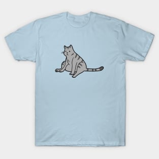 Slouchy Cat T-Shirt